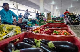 Campanha busca engajamento para reduzir desperdício de alimento