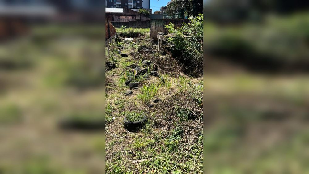Imagem referente a Após casos de dengue, lote com mato alto e pneus descartados de forma irregular preocupa moradores no Centro
