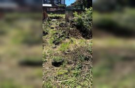 Após casos de dengue, lote com mato alto e pneus descartados de forma irregular preocupa moradores no Centro