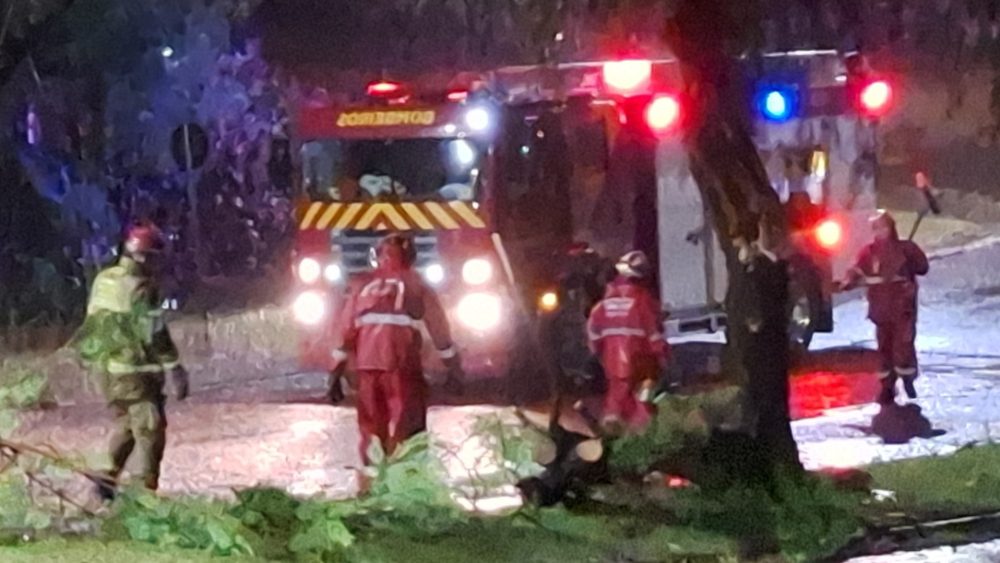 Imagem referente a Queda de galhos interdita acesso entre Bairro e Centro pela Rua Olindo Periolo em Cascavel