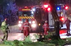 Queda de galhos interdita acesso entre Bairro e Centro pela Rua Olindo Periolo em Cascavel Queda de galhos interdita acesso entre Bairro e Centro pela Rua Olindo Periolo em Cascavel