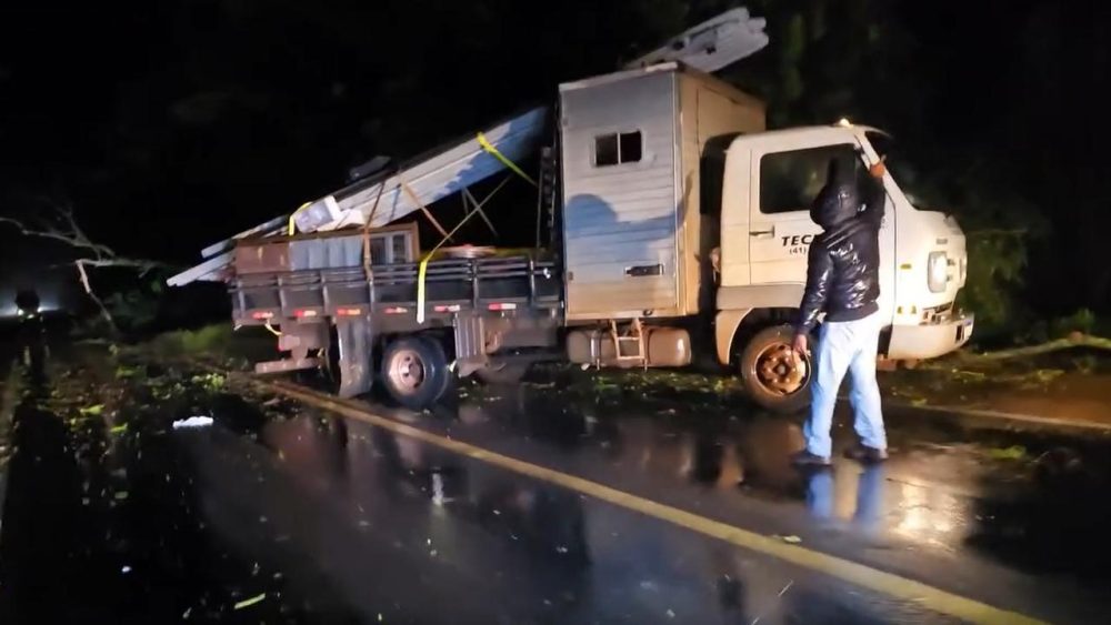 Imagem referente a Temporal derruba árvores e faz motorista interromper viagem a Porto Alegre