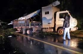 Temporal derruba árvores e faz motorista interromper viagem a Porto Alegre Temporal derruba árvores e faz motorista interromper viagem a Porto Alegre