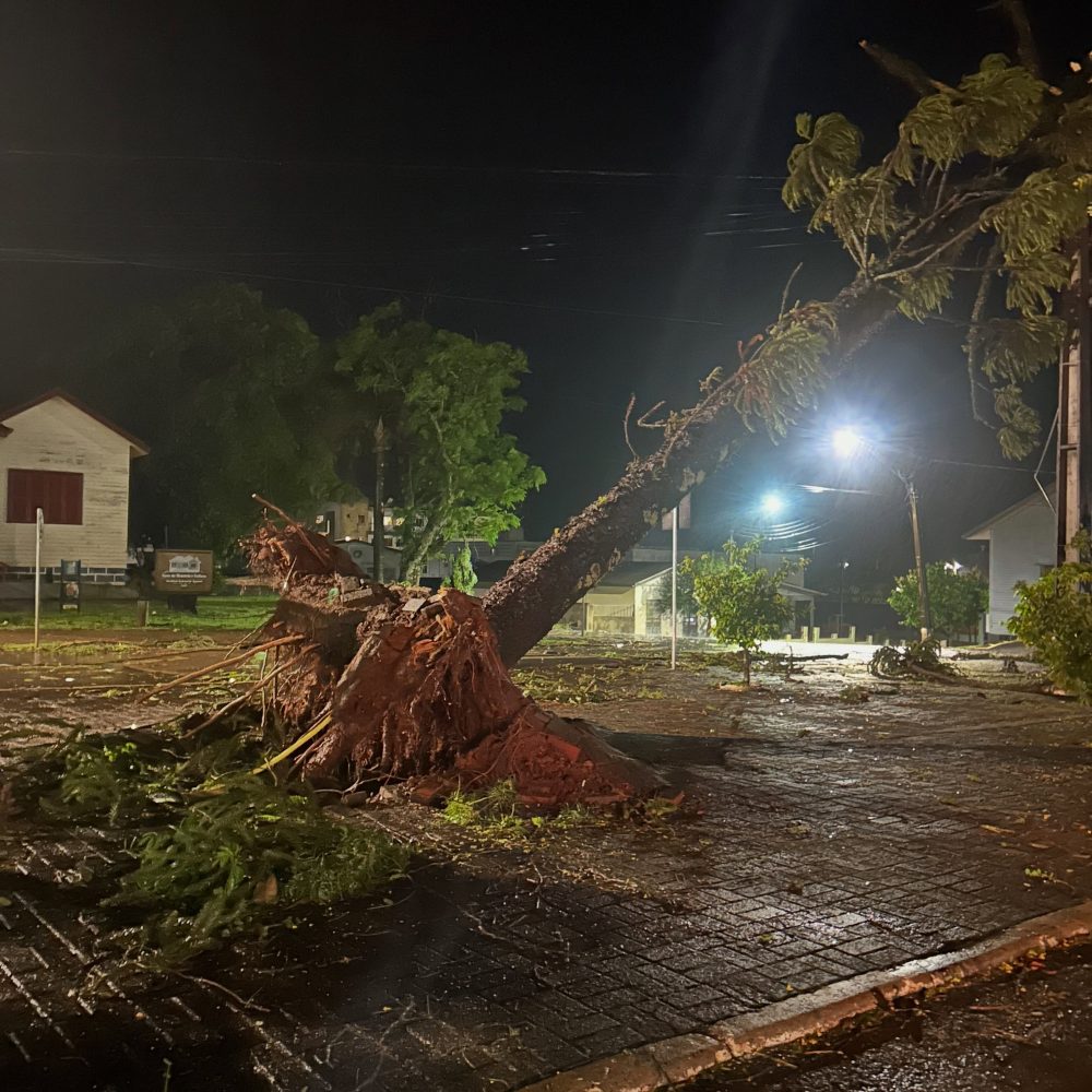 Imagem referente a Temporal destelha casas e derruba árvores em Laranjeiras do Sul