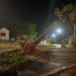 Imagem relativa a Temporal destelha casas e derruba árvores em Laranjeiras do Sul