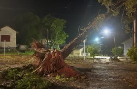 Temporal destelha casas e derruba árvores em Laranjeiras do Sul