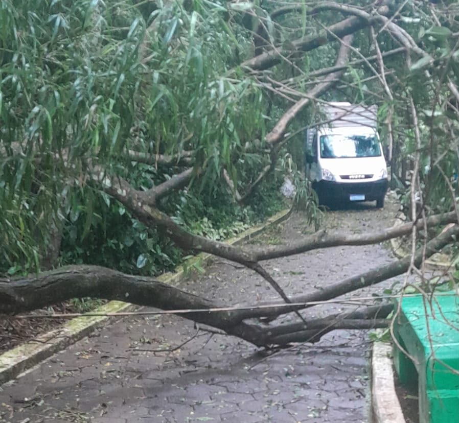 Ventos fortes mudam a rotina e fecham o Zoológico de Cascavel neste domingo