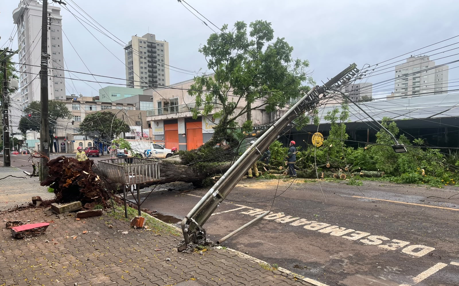 Bombeiros fazem corte de árvore que derrubou poste e interditou rua Dom Pedro II em Cascavel