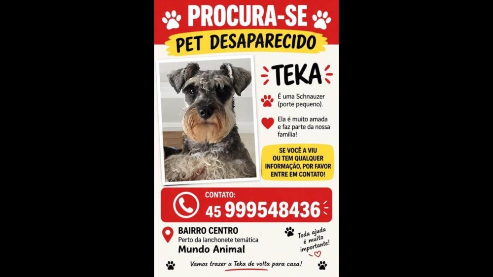 Imagem referente a Cachorra Teka desapareceu no bairro Centro