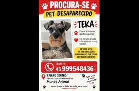 Cachorra Teka desapareceu no bairro Centro