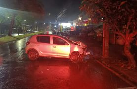 PM dá detalhes de acidente após Sandero atingir árvore e poste no bairro Alto Alegre em Cascavel