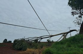 Juvinópolis e Rio do Salto aguardam retorno da energia após temporal