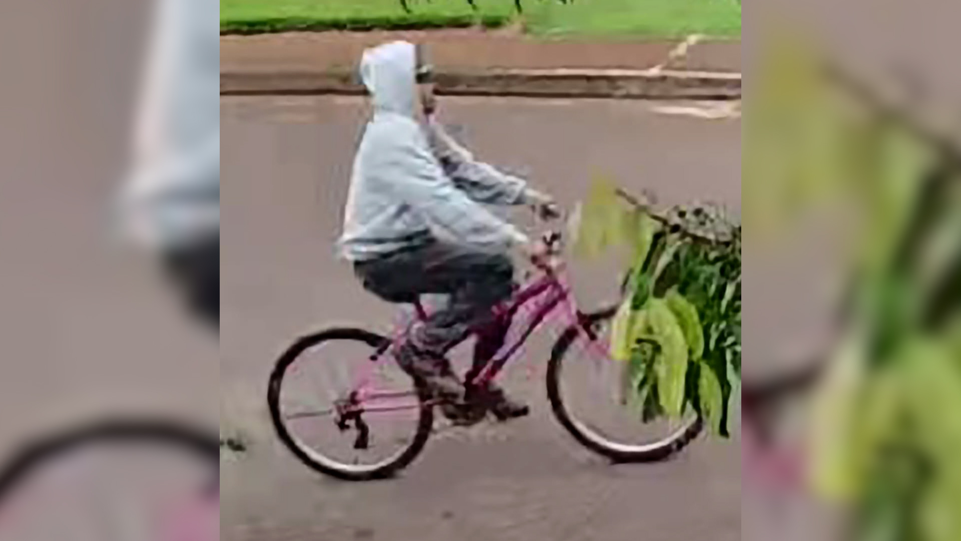Câmera registra ladrão saindo pedalando a ‘bicicleta cor-de-rosa da netinha”