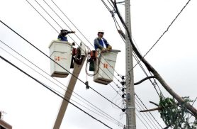 Falta de energia em Braganey: moradores da zona rural protestam após 3 dias sem luz