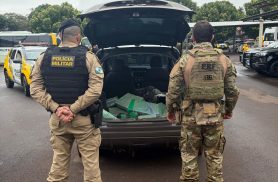 Polícia apreende 213,5 kg de maconha e recupera veículo roubado na BR-163