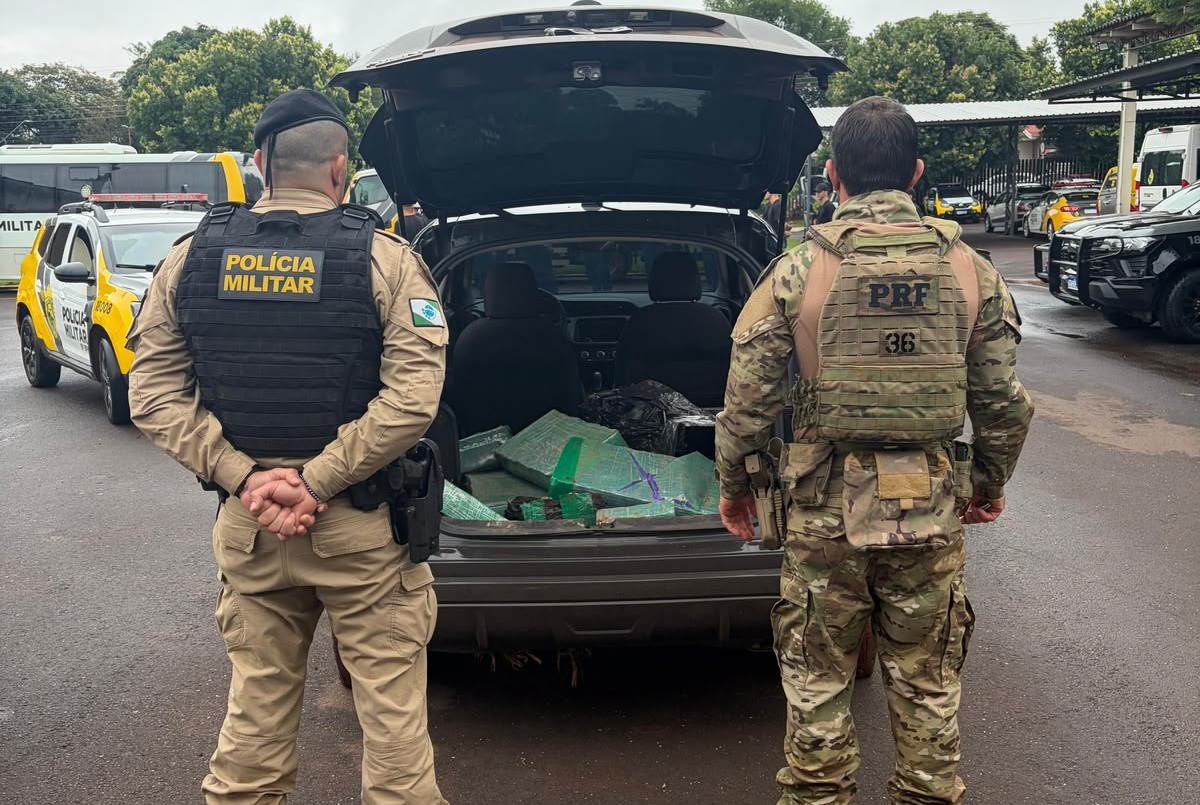 Polícia apreende 213,5 kg de maconha e recupera veículo roubado na BR-163