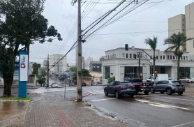 Galho de araucária cai, provoca curto-circuito em fiação e deixa cruzamento sem semáforo