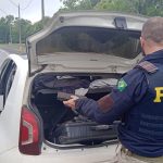 Imagem relativa a PRF apreende 170 kg de maconha em abordagem na BR-373, em Ponta Grossa