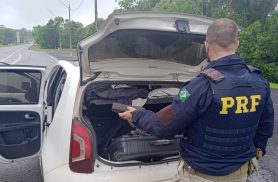 PRF apreende 170 kg de maconha em abordagem na BR-373, em Ponta Grossa