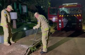 Filhote de cachorro cai no bueiro e mobiliza Bombeiros no Bairro Universitário, em Cascavel