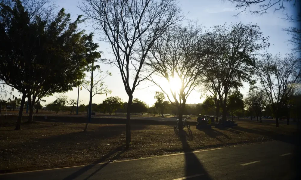 Imagem referente a Calor e chuva persistem em grande parte do país