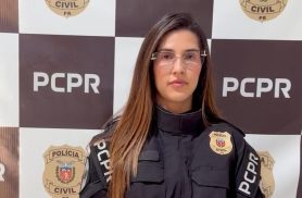 Inquérito aponta falhas dos dois lados em acidente que matou 23 pessoas em Ipiranga