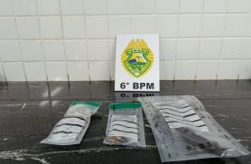 Adolescente é apreendido com revólver e maconha no Cataratas