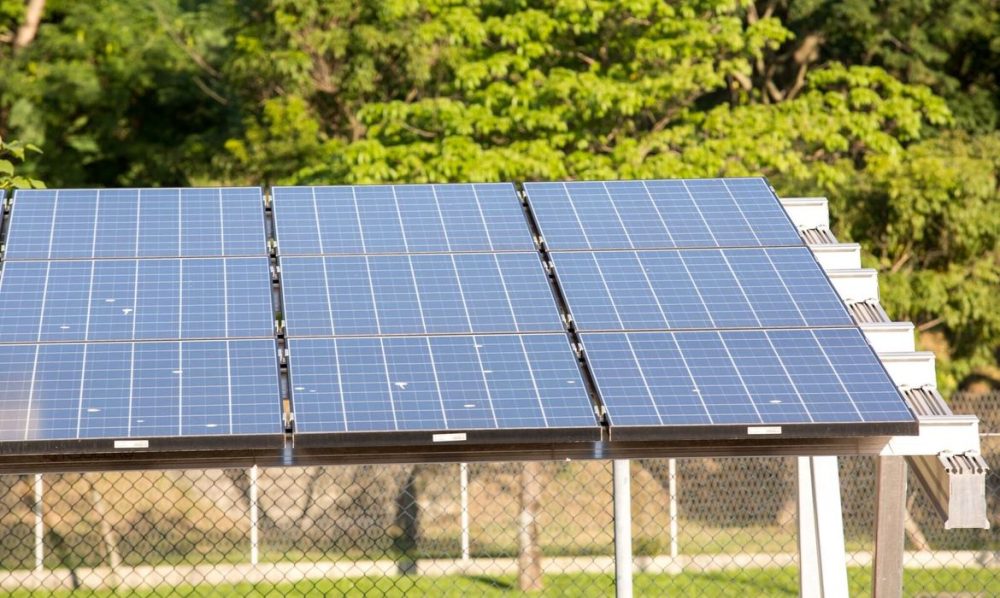 Imagem referente a 5º leilão do Eco Invest atrai quase R$ 50 bi para investimentos verdes