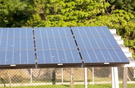 5º leilão do Eco Invest atrai quase R$ 50 bi para investimentos verdes