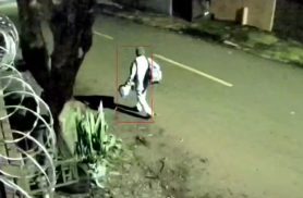 VÍDEO: Dupla defeca e volta para jogar lixo sobre as fezes em frente à casa no bairro Brasília em Cascavel