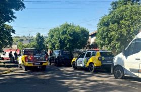 Homem surta, pega martelo e chave de fenda e acaba imobilizado com taser pela PM