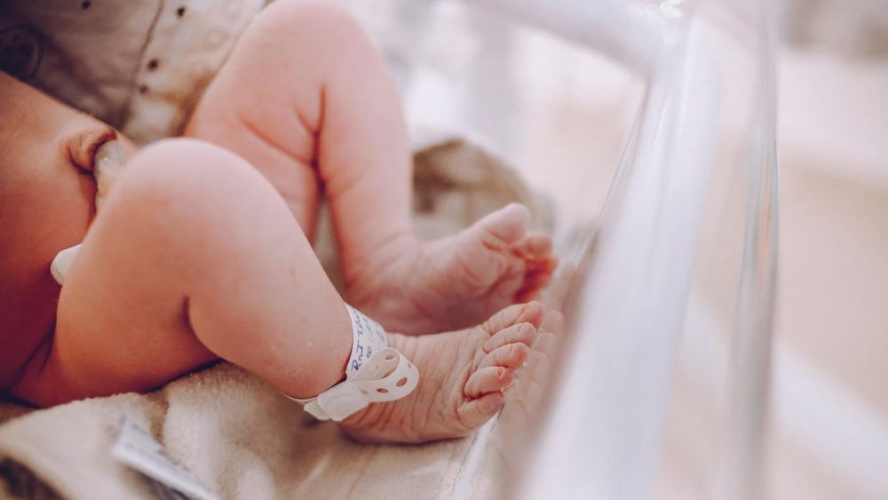Imagem referente a Cordão umbilical pode ser mais do que o elo entre mãe e bebê: pode ajudar a salvar vidas