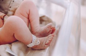 Cordão umbilical pode ser mais do que o elo entre mãe e bebê: pode ajudar a salvar vidas Cordão umbilical pode ser mais do que o elo entre mãe e bebê: pode ajudar a salvar vidas