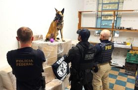 Caminhão é abordado e quase 1 tonelada de maconha é encontrada na BR-277