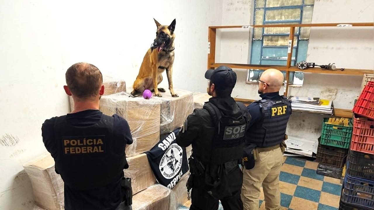 Caminhão é abordado e quase 1 tonelada de maconha é encontrada na BR-277