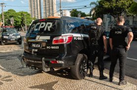PCPR prende mulher e apreende plantas de maconha durante operação em Faxinal