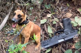 Suspeito armado é preso após se esconder em área de mata às margens da PR-182