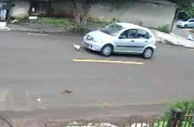 Gata é atropelada na Avenida Sabiá e moradora faz apelo por segurança: “Antes que seja pior”