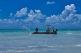 Revisão de regras para pesca amadora está em consulta pública