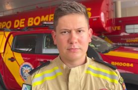 Após homem levar 200 picadas de abelhas, Bombeiros dão orientações para situações de emergência