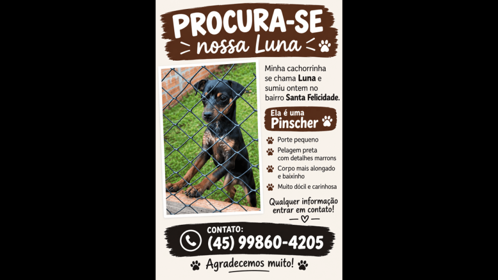 Imagem referente a Cachorra Luna desapareceu no bairro Santa Felicidade