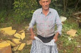 Como idoso de 71 anos sobreviveu a 200 ferroadas de abelha em Cascavel? Entenda