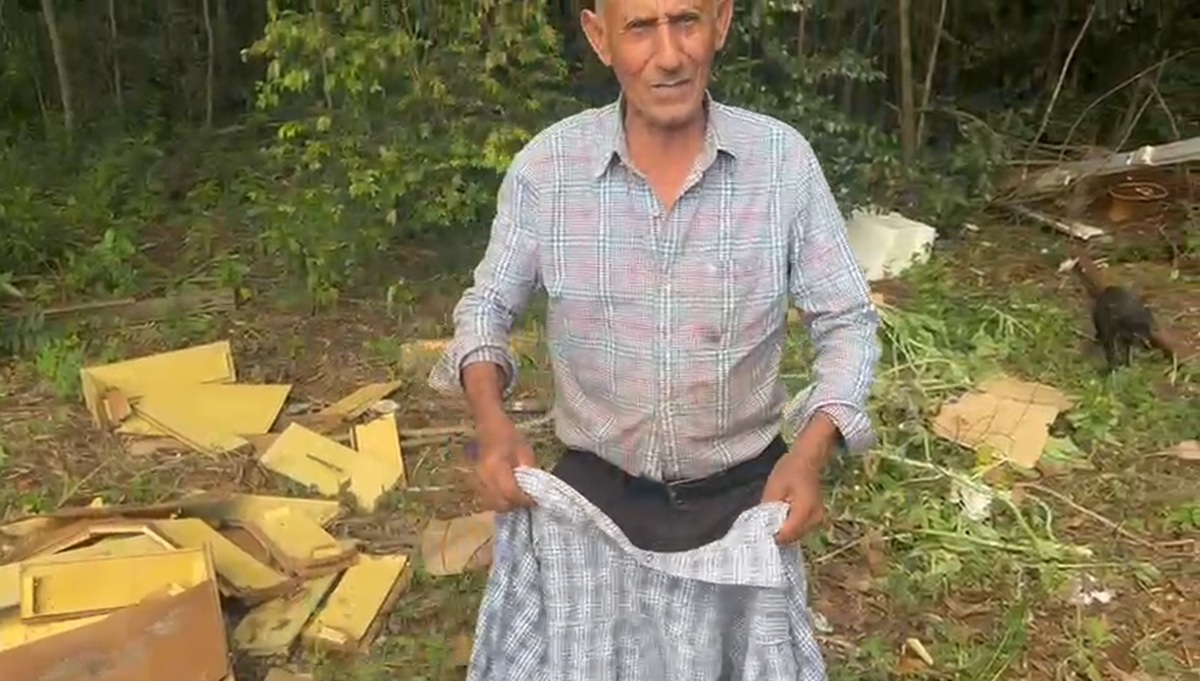 Como idoso de 71 anos sobreviveu a 200 ferroadas de abelha em Cascavel? Entenda