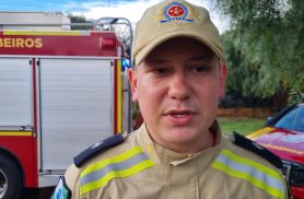 'Tivemos que descê-lo pela escada', diz bombeiro sobre idoso que subiu em árvore e passou mal