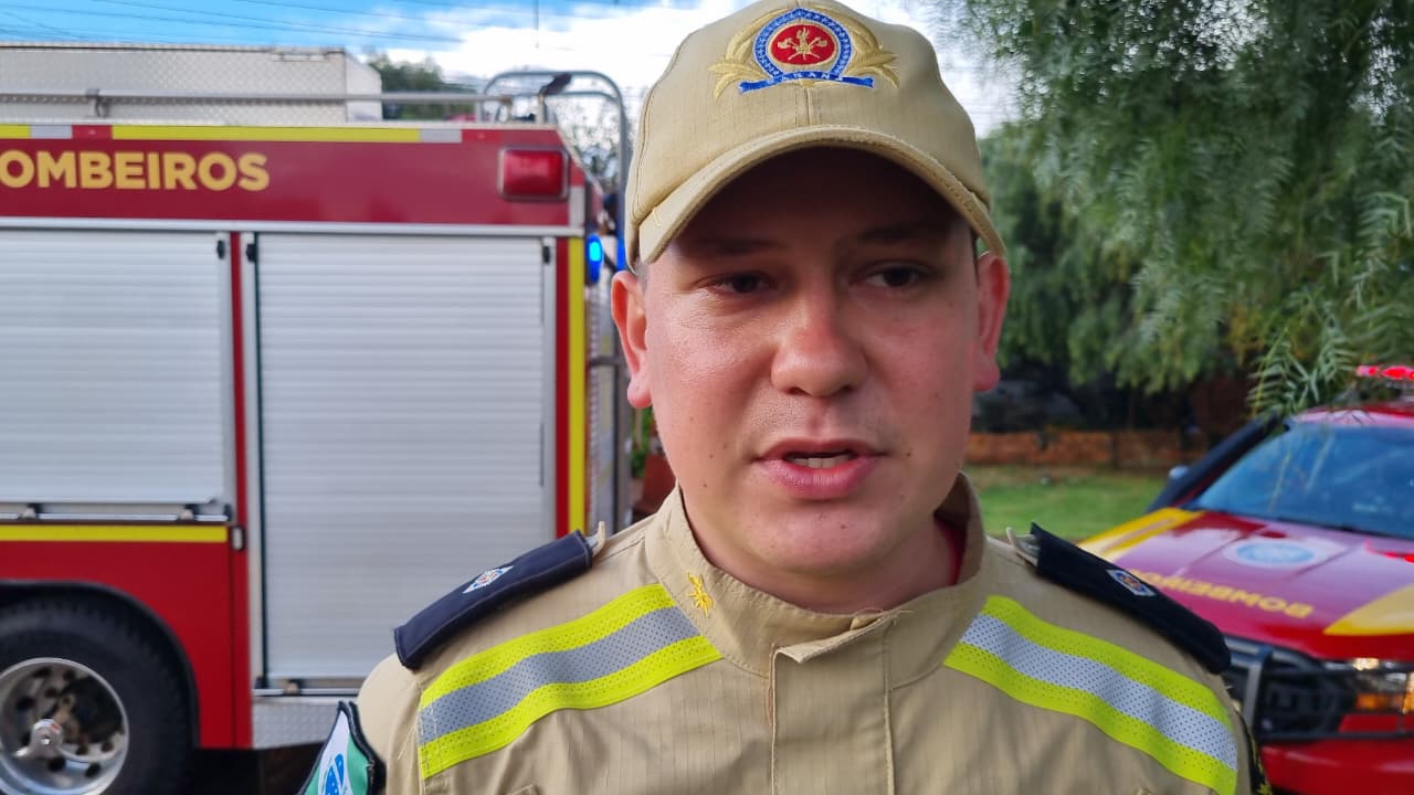‘Tivemos que descê-lo pela escada’, diz bombeiro sobre idoso que subiu em árvore e passou mal