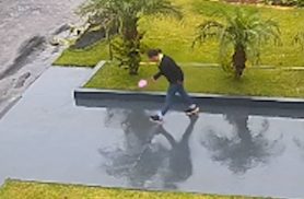 Câmeras mostram furto de orquídeas em rua do Bairro Maria Luiza, em Cascavel