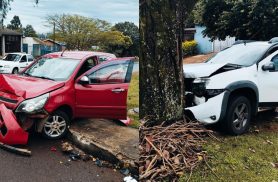 Duster vai parar em árvore após colisão com Agile no Jardim Clarito
