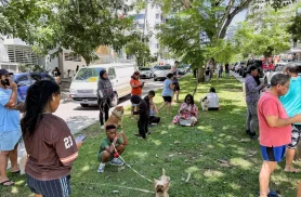 Forte terremoto sacode o Panamá; operações do canal seguem normalmente