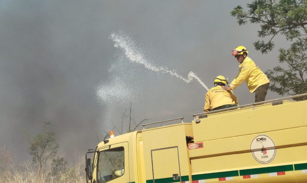 Bombeiros controlam incêndio em área de mata na UnB Imagem referente a Bombeiros controlam incêndio em área de mata na UnB