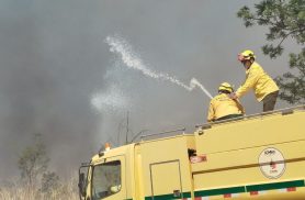 Bombeiros controlam incêndio em área de mata na UnB